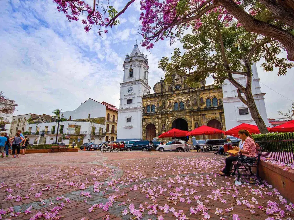 Zdjęcie Unikalne produkty i co warto kupić w Panamie - przewodnik zakupowy 2024