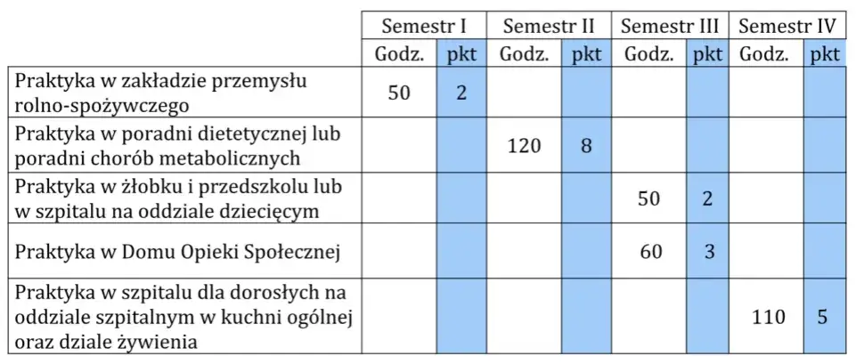Zdjęcie Jak wypełnić dziennik praktyk opiekun w żłobku - uniknij błędów