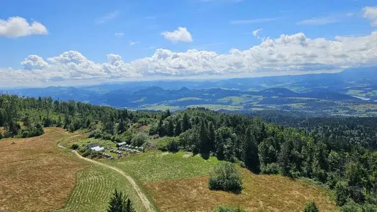Zdjęcie Trasa rowerowa Krościenko Czerwony Klasztor - piękne widoki i atrakcje