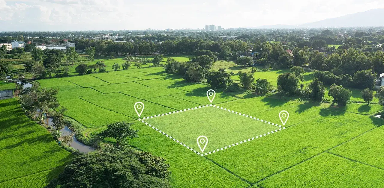 Zdjęcie Działka 1000m2 ile to metrów? Sprawdź, ile to w arach i hektarach
