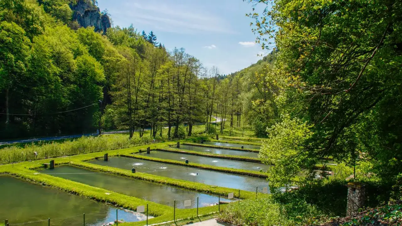 Zdjęcie Gdzie zjeść w Ojcowskim Parku Narodowym? Sprawdź najlepsze miejsca