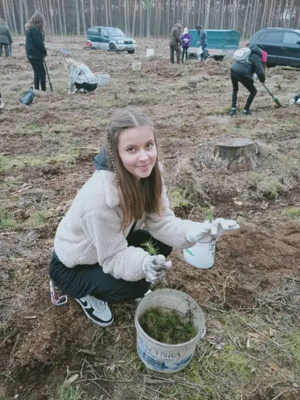 Zdjęcie Ile można zarobić na sadzeniu lasu? Poznaj dotacje i premie
