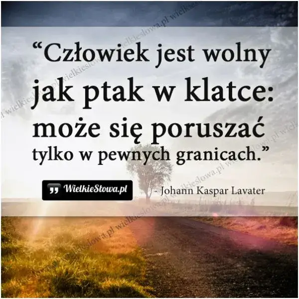 Zdjęcie Wolny jak ptak cytaty – inspirujące słowa o wolności i swobodzie życia