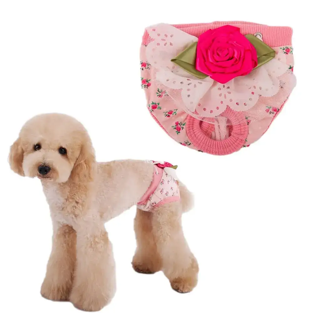 Zdjęcie Jak uszyć majtki dla psa, aby zapewnić mu komfort i wygodę