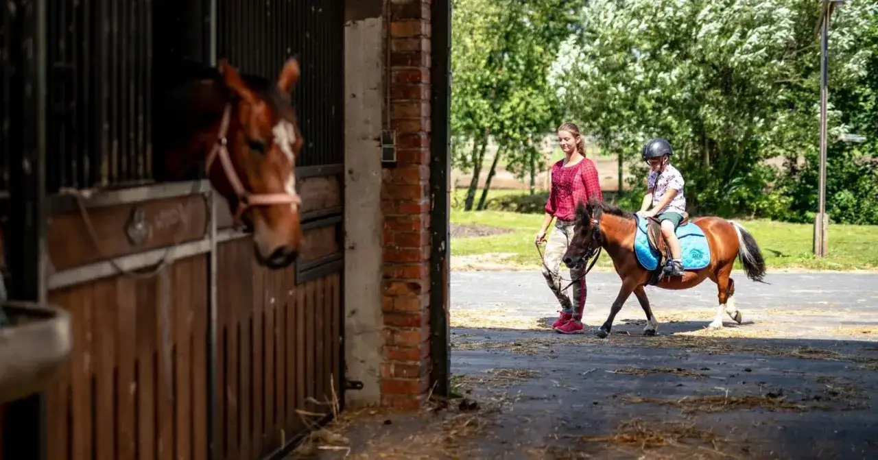 Zdjęcie Salio stadnina: Odkryj wyjątkowe doświadczenia jeździeckie w Polsce