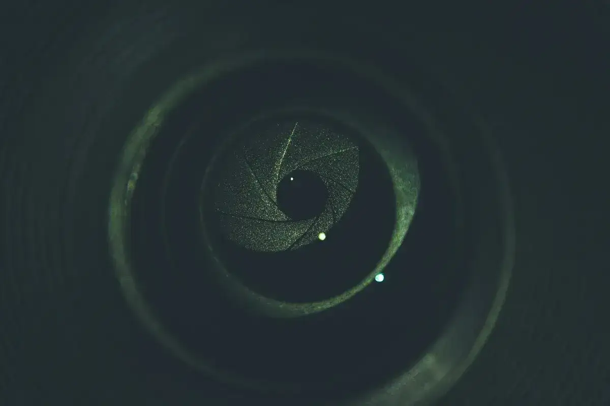 Zdjęcie Jaki obiektyw do sesji w plenerze - wybierz najlepszy sprzęt do zdjęć