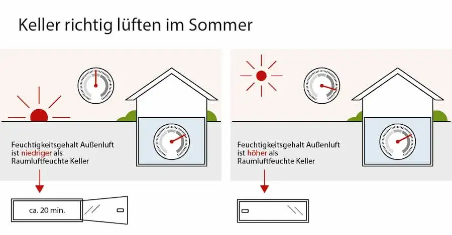 Zdjęcie Keller im Sommer richtig l&uuml;ften: So vermeiden Sie Schimmelbildung