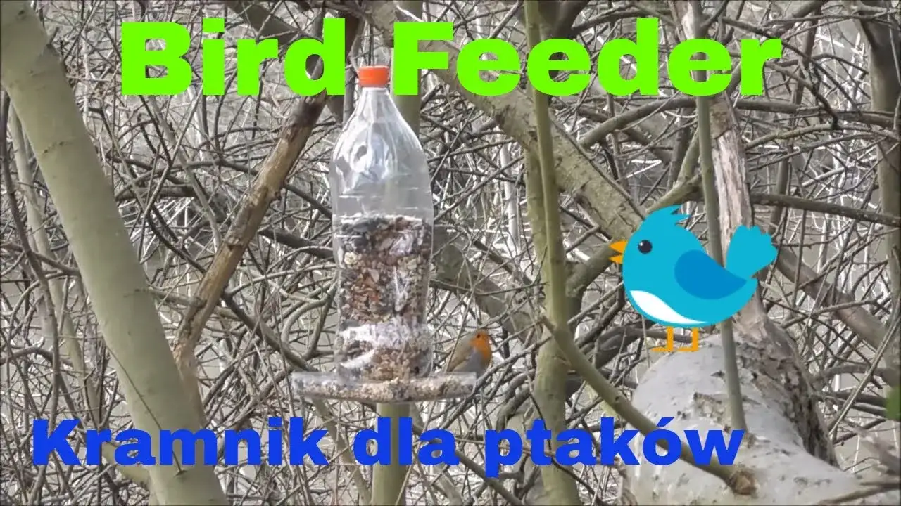Zdjęcie Jak zrobić karmnik dla ptaków z butelki - proste i tanie rozwiązanie