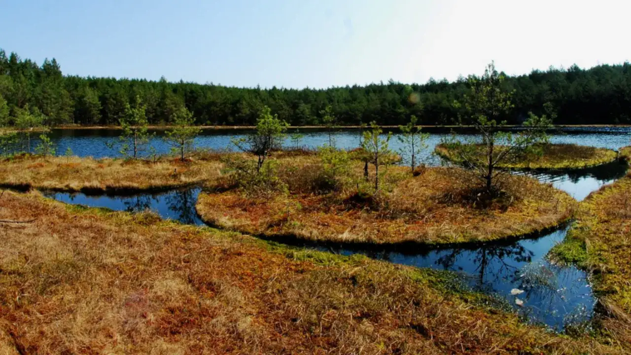 Zdjęcie Jezioro Rogowskie: Cud natury z atrakcjami dla każdego odwiedzającego