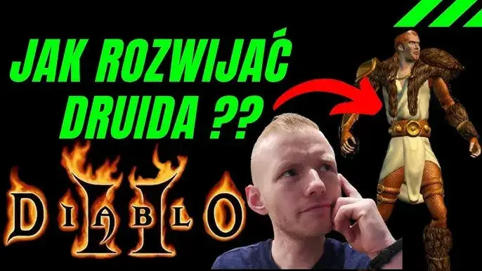 Zdjęcie Buildy Druida w Diablo 2 - poradnik dla początkujących