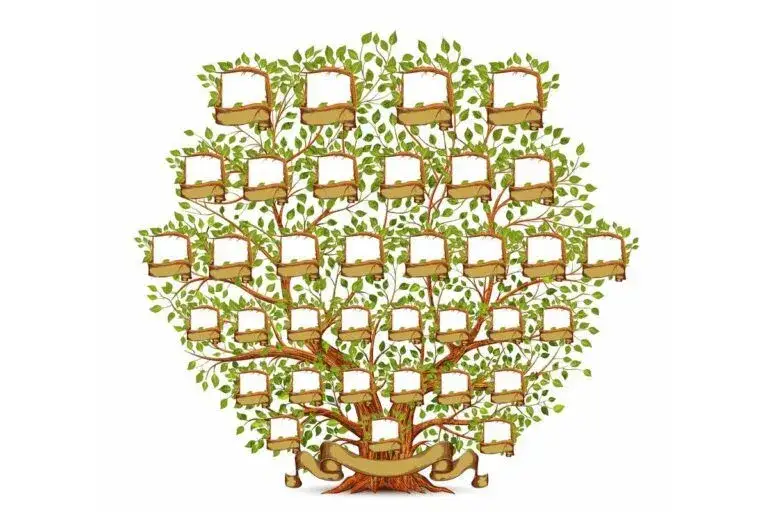 Zdjęcie Dynastia Piastów drzewo genealogiczne: kluczowe postacie i ich tajemnice