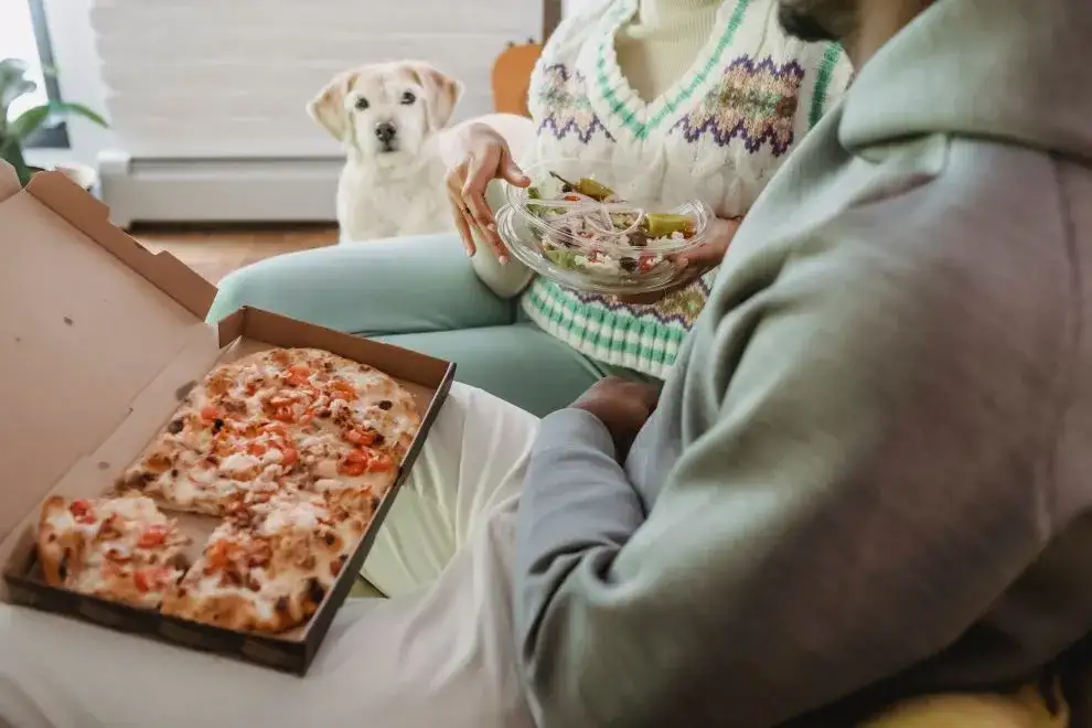 Zdjęcie Czy pies może jeść fasolę czerwoną? Sprawdź, co musisz wiedzieć