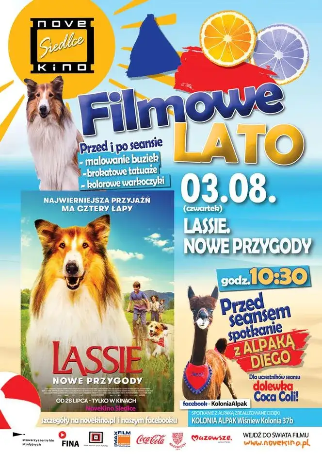 Zdjęcie Jak stworzyć w Excelu własną bazę obejrzanych filmów i seriali?