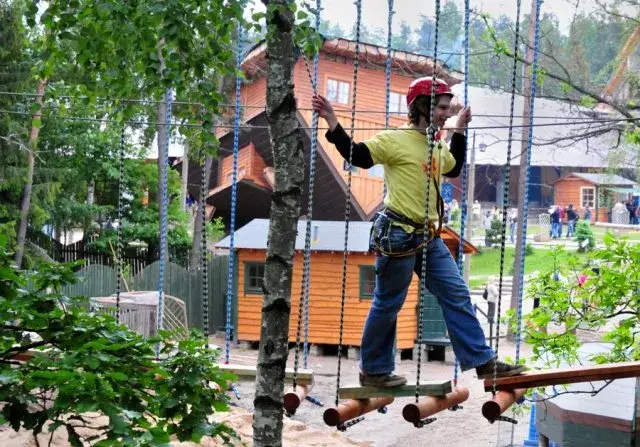 Zdjęcie Park linowy Ostrzyce - atrakcje, trasy i ceny, które musisz znać