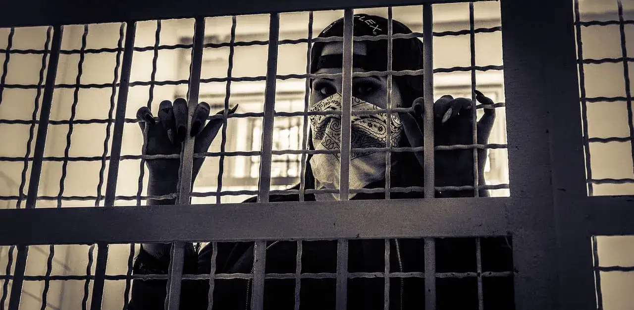 Zdjęcie Jak sprawdzić czy poszukuje mnie policja: legalne sposoby weryfikacji