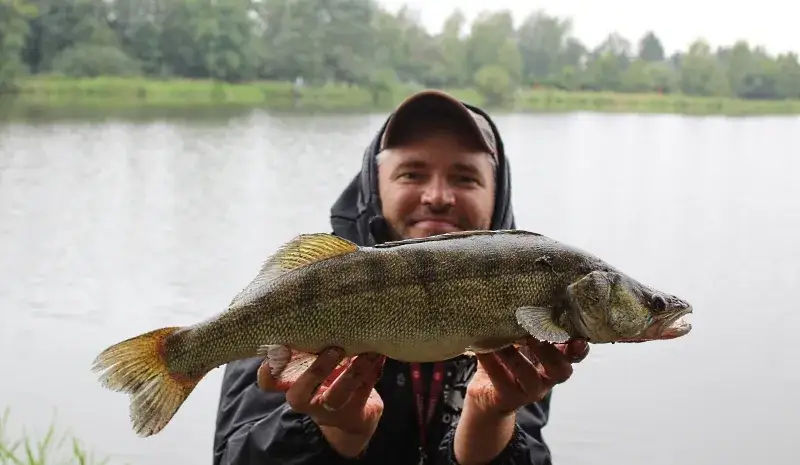Zdjęcie Wędka picker do czego? Odkryj jej zastosowania i tajniki łowienia ryb