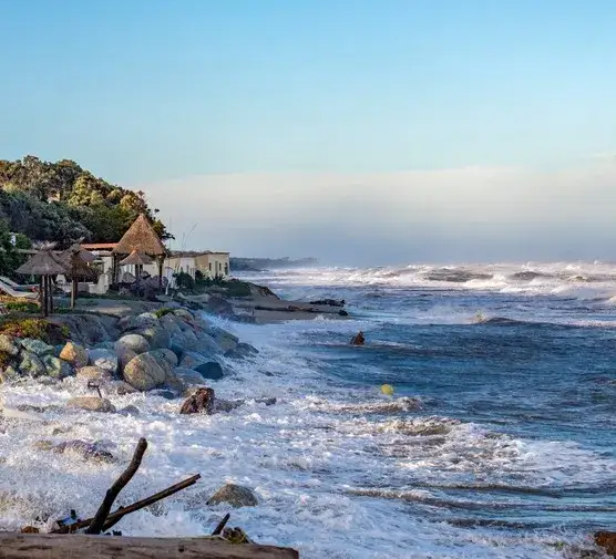 Zdjęcie Gdzie występuje klimat umiarkowany ciepły morski? Odkryj jego tajemnice