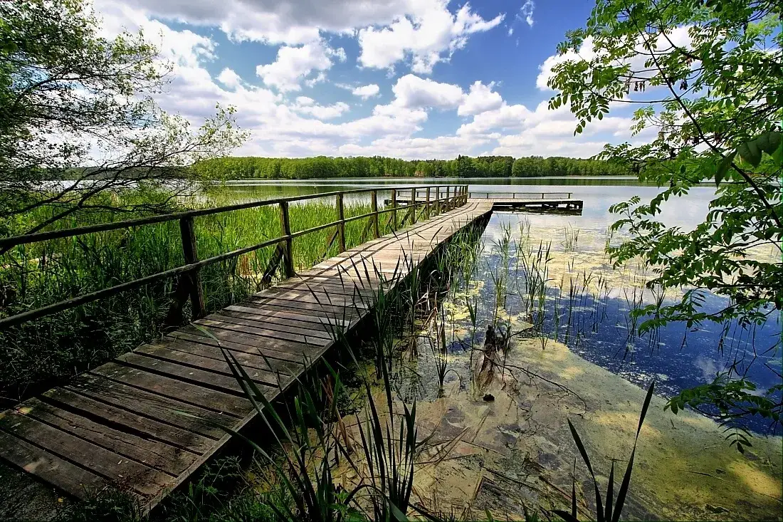 Zdjęcie Rezerwat Przyrody Husówka – co warto wiedzieć przed wizytą i jak uniknąć błędów