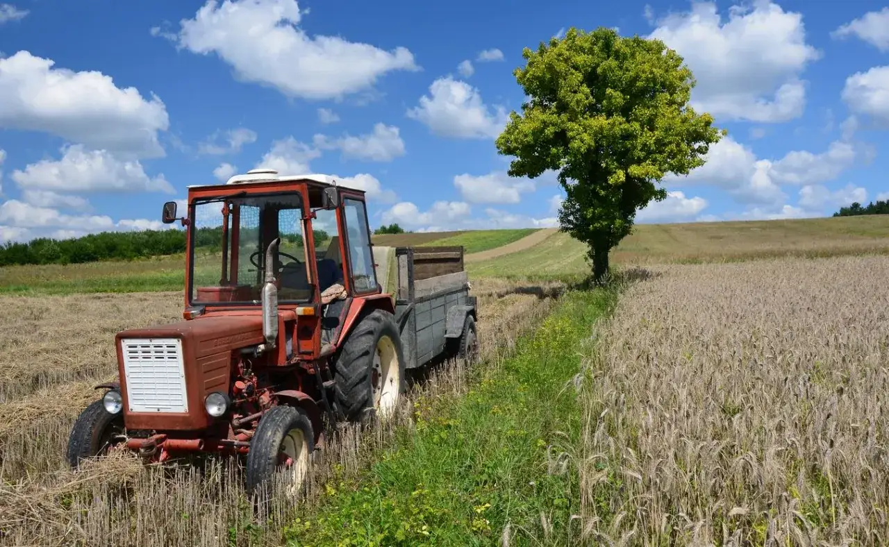 Zdjęcie Jak udokumentować pracę w gospodarstwie rolnym rodziców do stażu pracy?