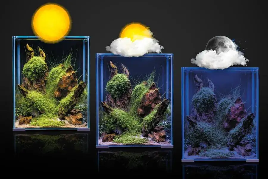 Zdjęcie Jaką barwę światła wybrać do akwarium roślinnego dla najlepszych efektów?