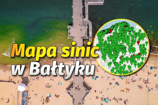 Zdjęcie Gdzie sinice w Bałtyku? Sprawdź, gdzie są najgroźniejsze zakwity