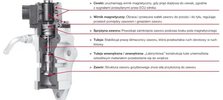 Zdjęcie  Usuwanie osadów i recyrkulacja spalin - jak działa system EGR w silniku Diesla?