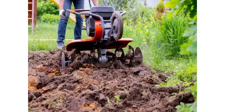 Zdjęcie Jak glebogryzarka ogrodowa zmienia prace w ogrodzie i ułatwia życie