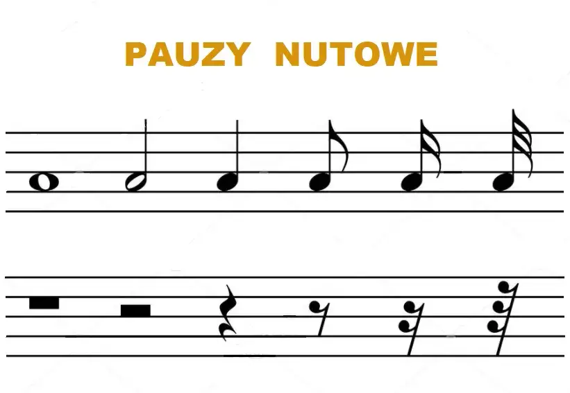 Zdjęcie Pauzy w muzyce: pauza ósemkowa, szesnastkowa, półnutowa, całonutowa