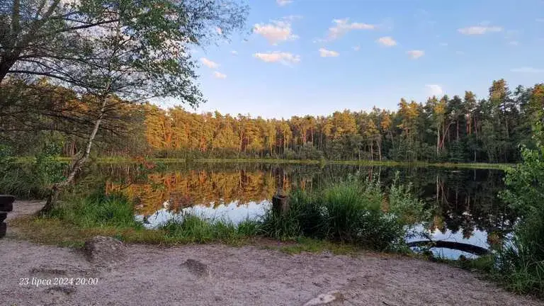 Zdjęcie Trasy rowerowe Niepołomice – odkryj najlepsze szlaki i atrakcje