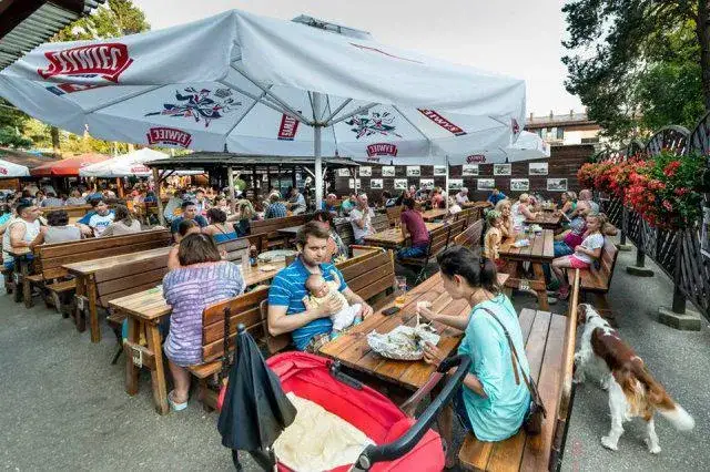 Zdjęcie Gdzie zjeść w Jastrzębiej Górze? Odkryj najlepsze restauracje
