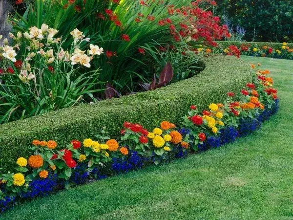 Zdjęcie Ogród w którym hoduje się rośliny wieloletnie – piękno i łatwość pielęgnacji