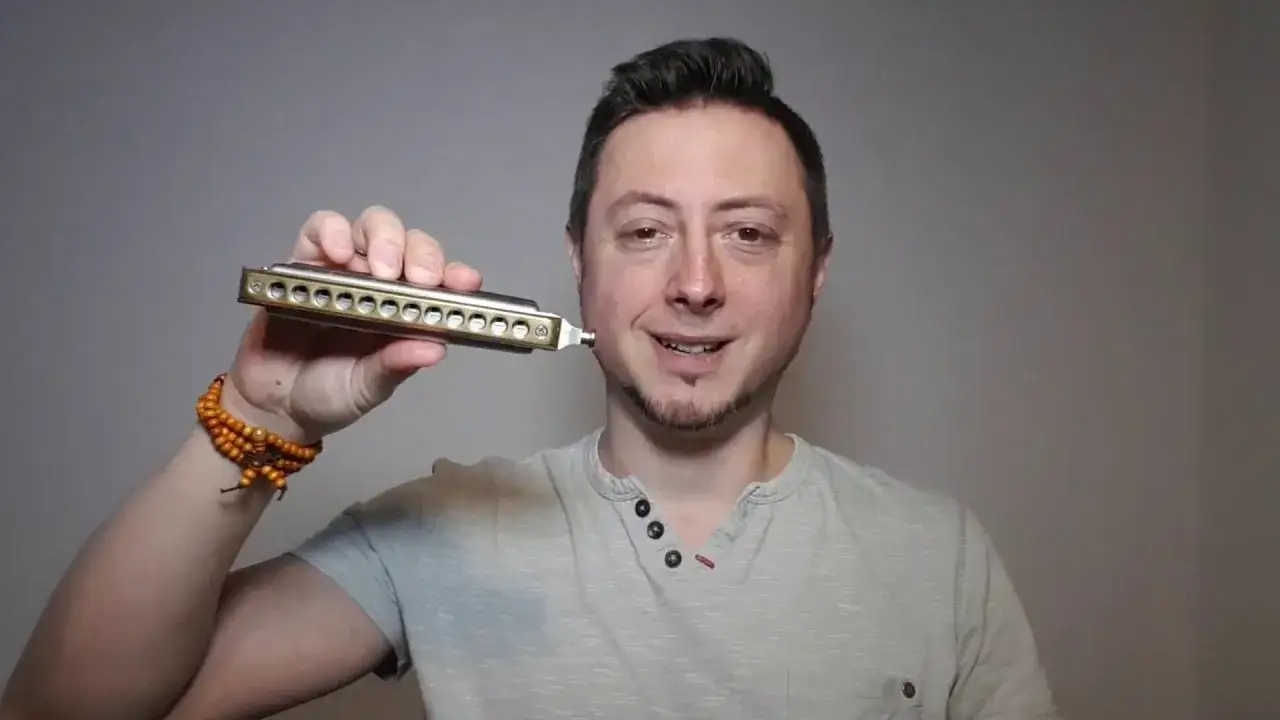 Zdjęcie Rodzaje harmonii ręcznej: wszystko, co musisz wiedzieć o typach