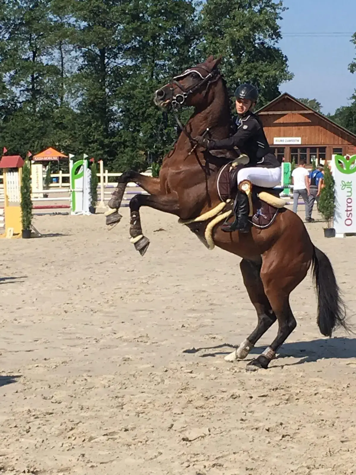 Zdjęcie Ubezpieczenie NNW jeździectwo - uniknij wysokich kosztów wypadków
