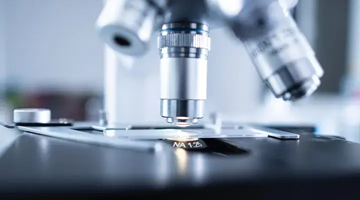 Zdjęcie Jak przebiega badanie na lamblie? Kluczowe etapy procesu