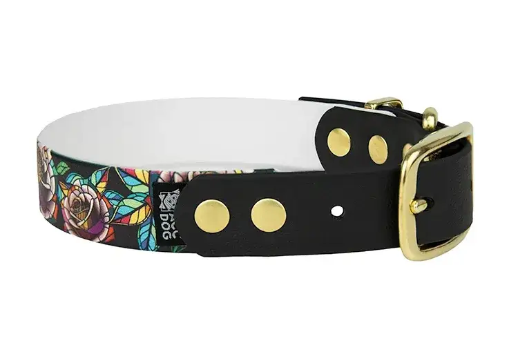 Zdjęcie Jaką obrożę dla cane corso wybrać, aby zapewnić komfort i bezpieczeństwo?