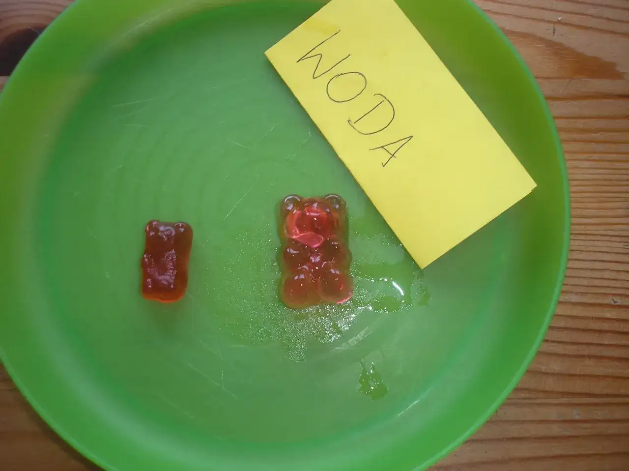 Zdjęcie Proste eksperymenty z żelkami: nauka i zabawa dla dzieci