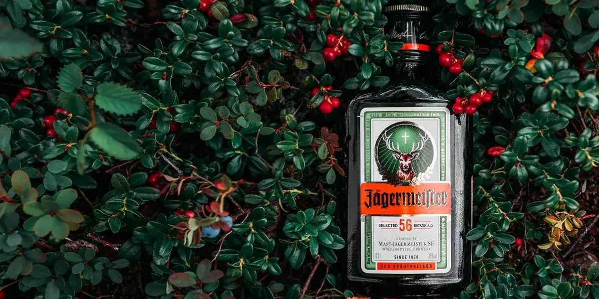 Zdjęcie Jägermeister drink z czym - najlepsze połączenia, które zaskoczą