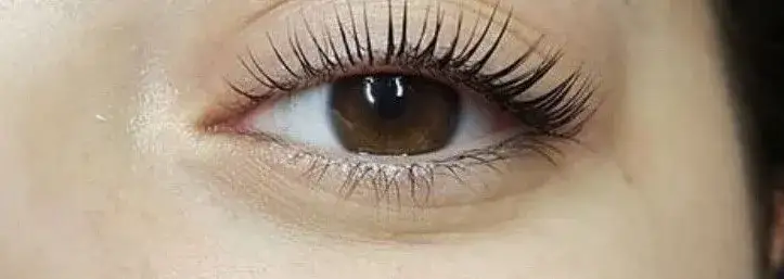 Zdjęcie Jak szybko odrosnąć rzęsy? Sprawdzone metody na zdrowe włoski