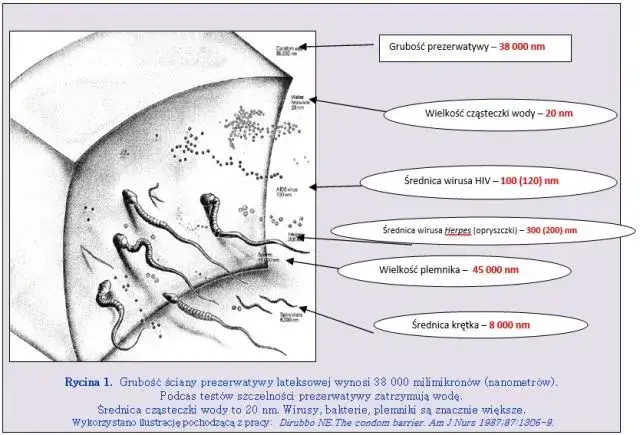 Zdjęcie Czy prezerwatywa w małżeństwie to grzech ciężki? Odkryj prawdę i konsekwencje