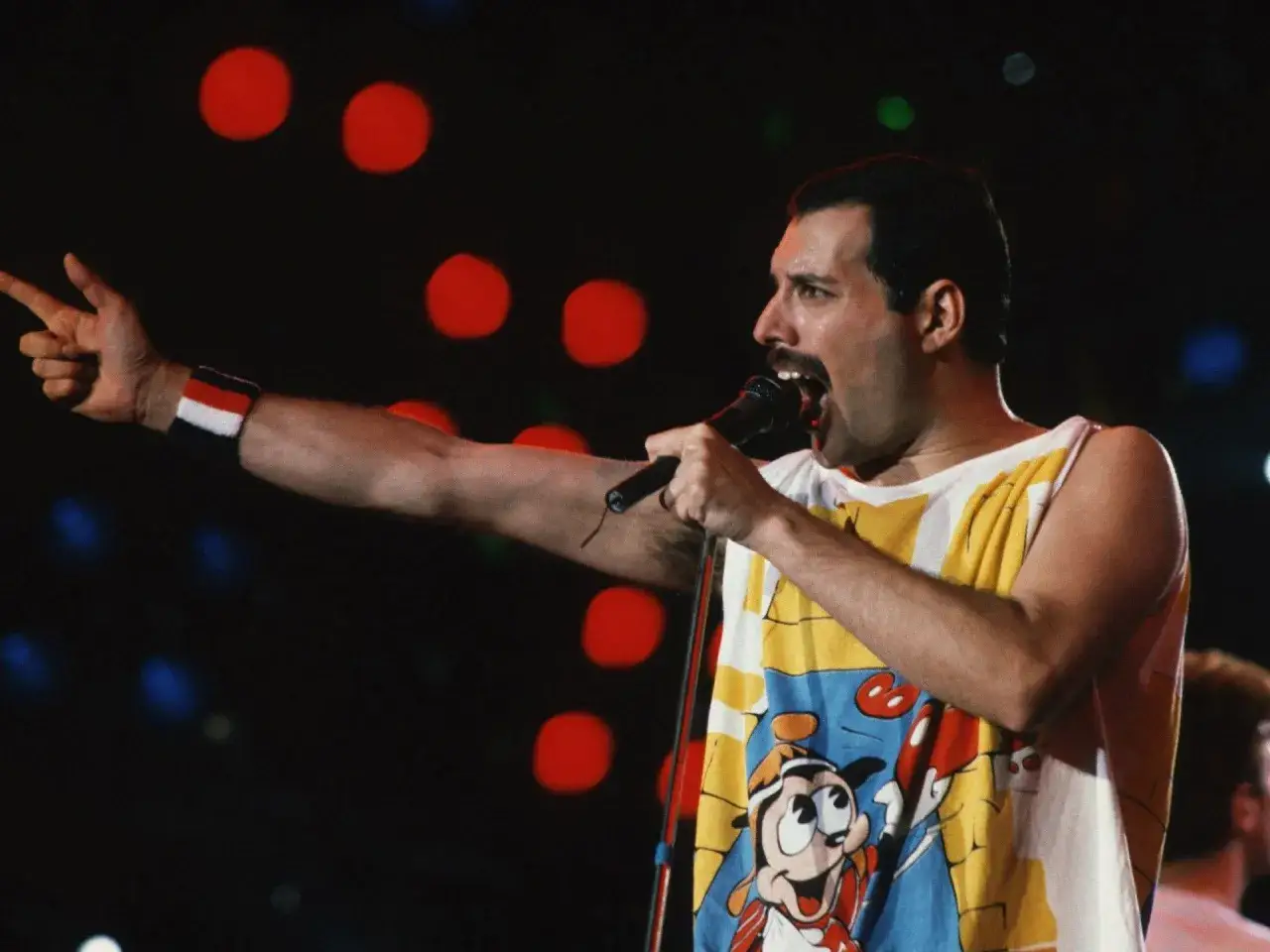Zdjęcie Freddie mercury usłyszał, że nie będzie gwiazdą: wiemy od kogo