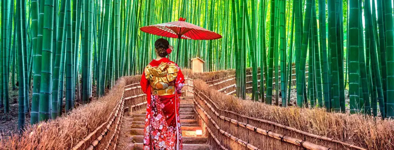 Zdjęcie Kiedy najlepiej jechać do Japonii, aby uniknąć tłumów i deszczu?