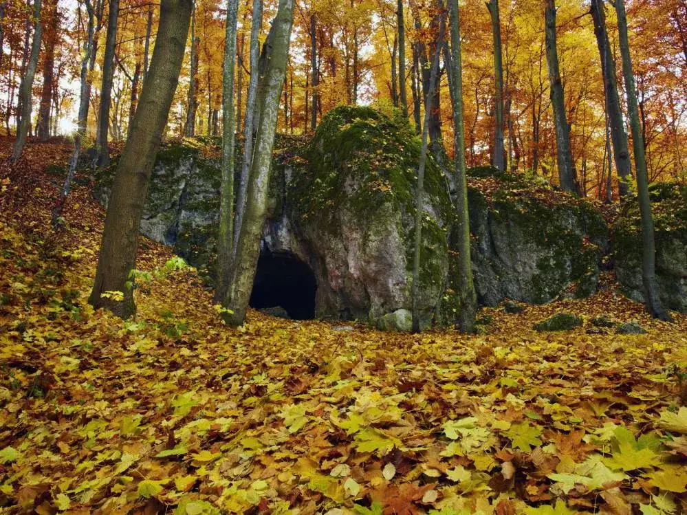 Zdjęcie Najciekawsze atrakcje Złotego Potoku, które musisz zobaczyć