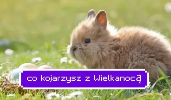 Zdjęcie Co kojarzy się z wielkanocą? Odkryj symbolikę i tradycje świąteczne