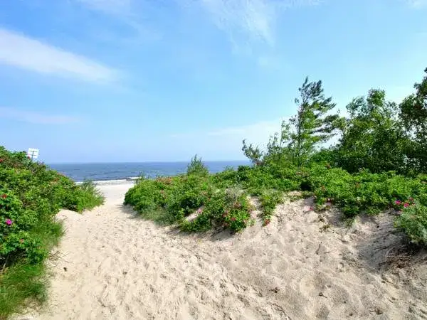 Zdjęcie Najlepsze atrakcje nad Zalewem Wiślanym, które musisz zobaczyć