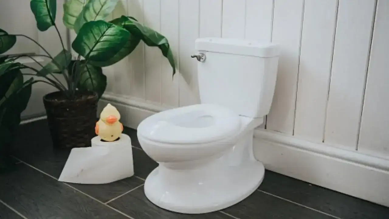 Zdjęcie Sen o sikaniu co oznacza – zrozum swoje emocje i obawy