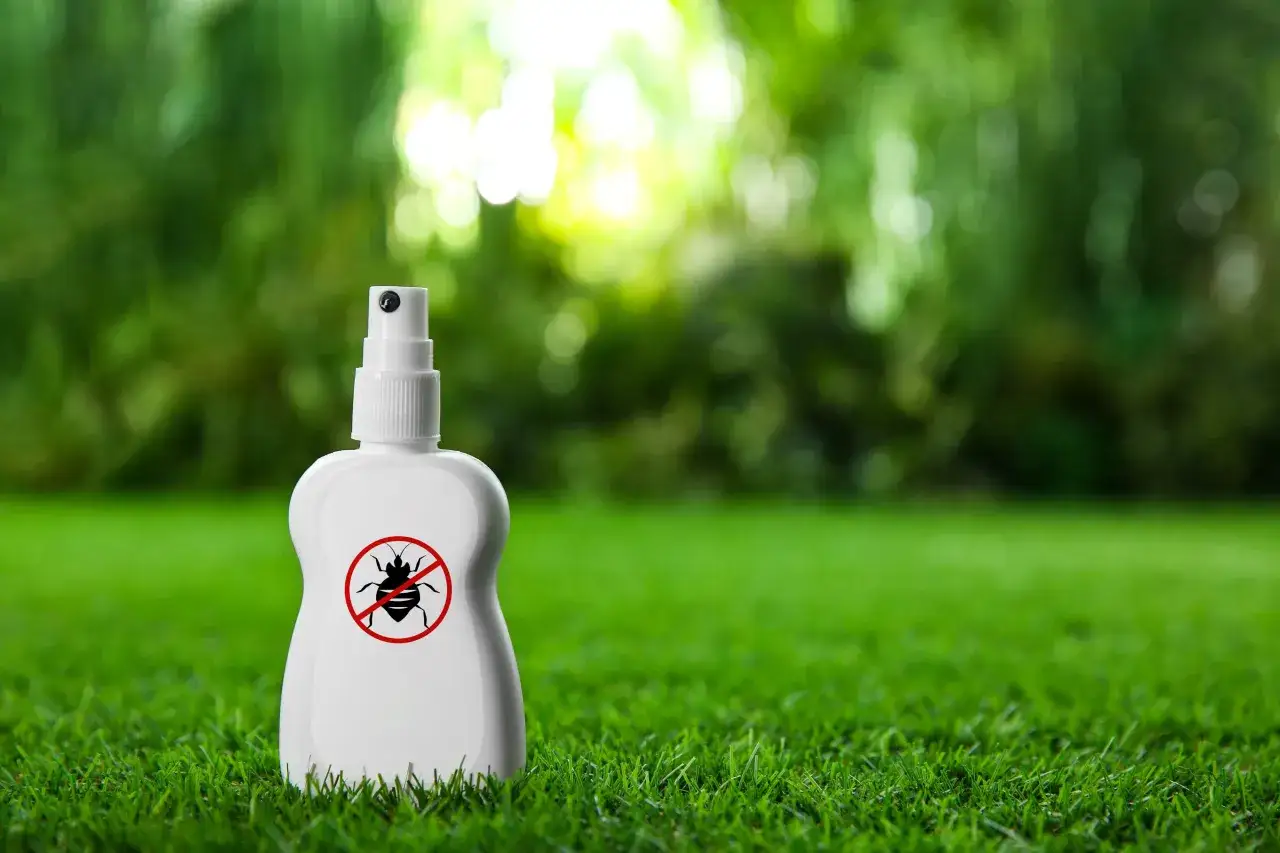 Zdjęcie Skuteczne sposoby na odstraszanie kleszczy - naturalne metody ochrony
