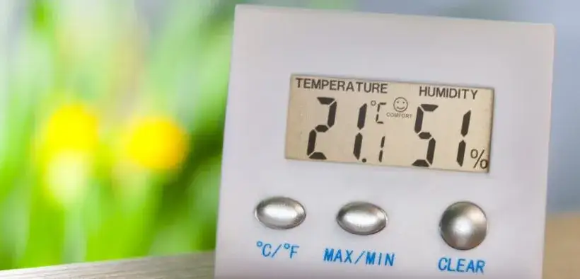 Zdjęcie Jak zwiększyć wilgotność w terrarium? Sprawdzone metody i porady
