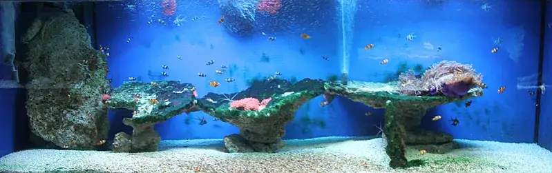 Zdjęcie Oceanarium Warszawa Blue City – aktualne informacje i atrakcje