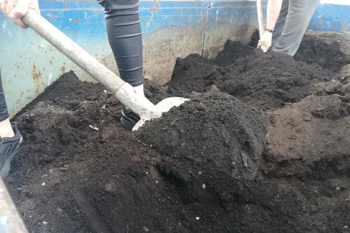 Zdjęcie Gdzie można kupić kompost i na co zwrócić uwagę przed zakupem