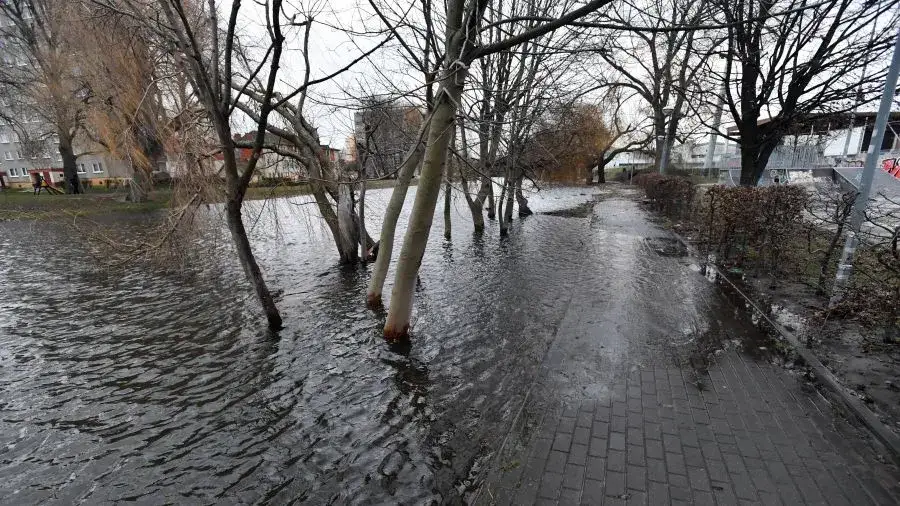 Zdjęcie Cofka na Bałtyku – czym jest to zjawisko i jakie niesie zagrożenia